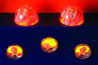 Road to Thebes detail 1