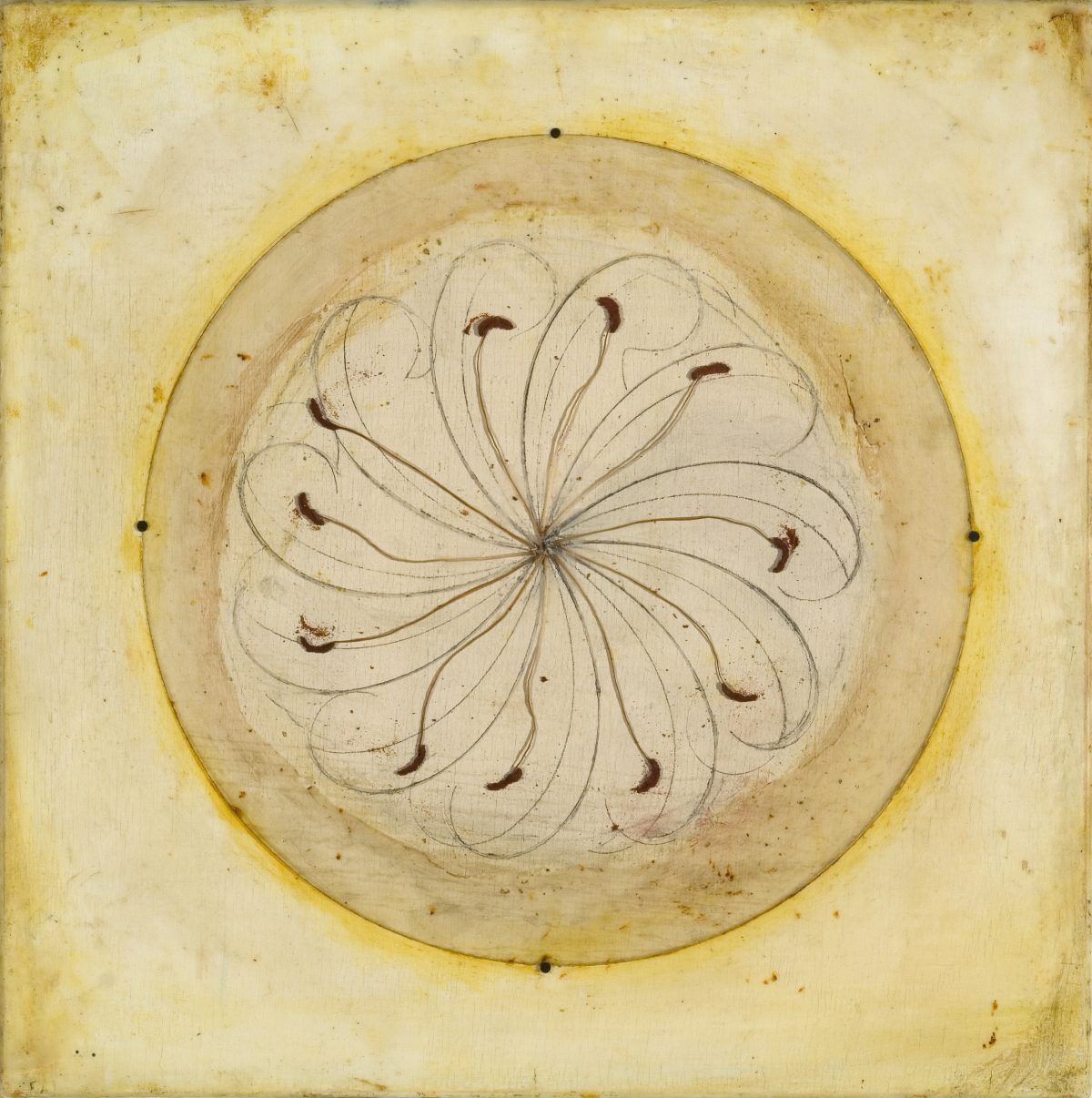 Untitled (Stamens) 10 x 10