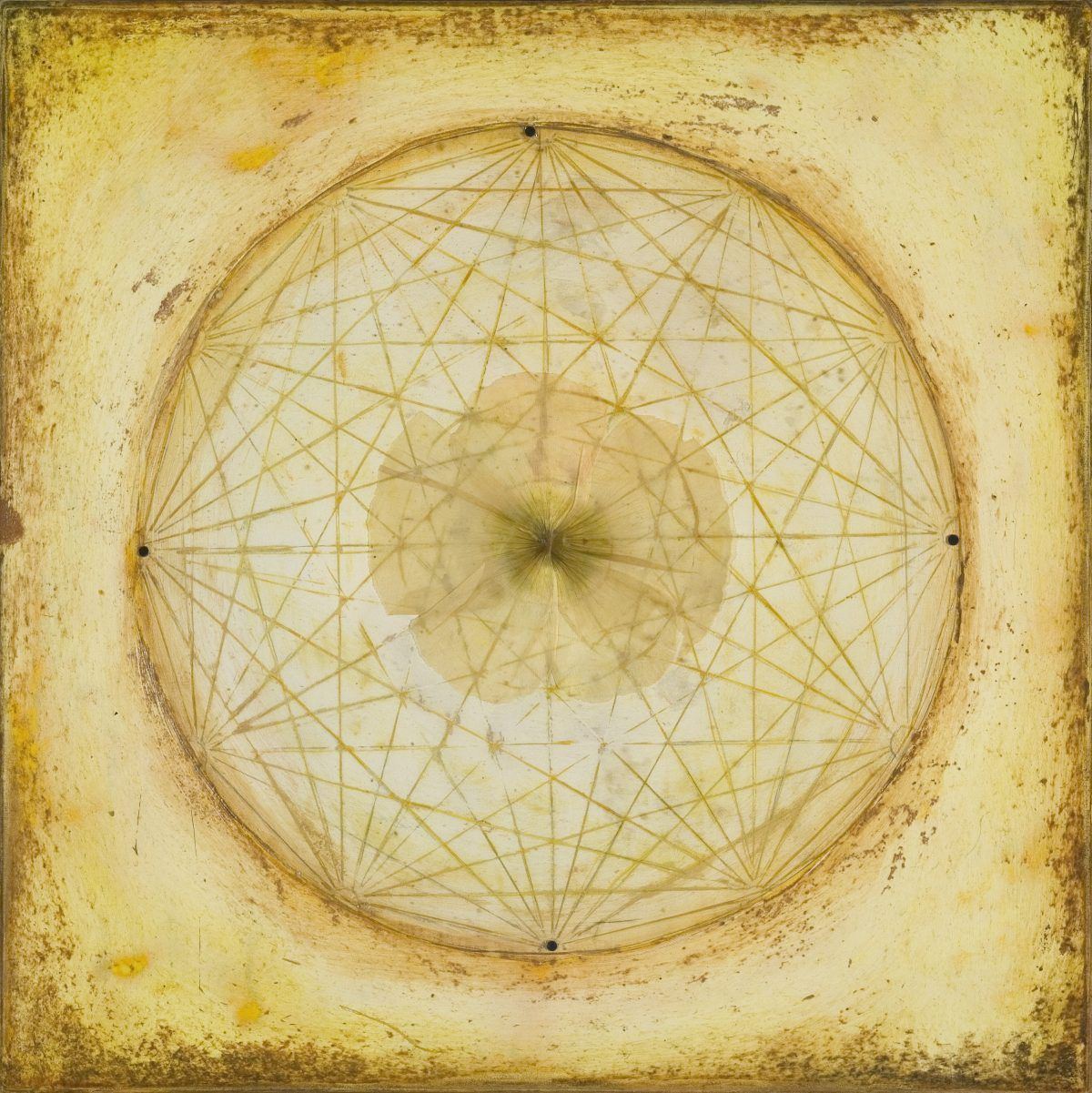 Untitled (Wheel With Petals) 10 x 10