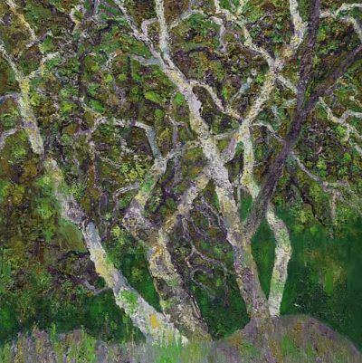 ajfbjfevlytg6ose4g7t