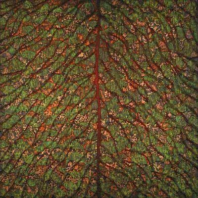 bq5zpn2we3jmthrqmoet