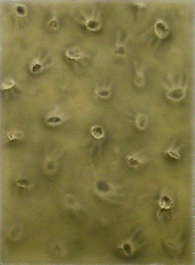 cc6yeofmxma3o5lgabbi