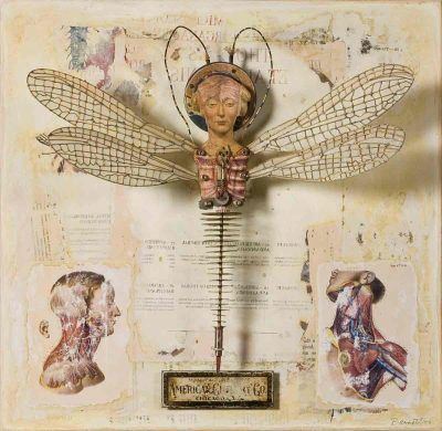 clgfxycsnl8kgfktnnsc