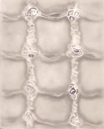 drnrubsratzzuths1717