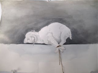 dusv0fbbi1pxke22myuw