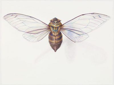 emd92s3sw1gotrmccd5j