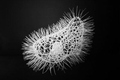 etlrqgthkpkvlynxrb2k