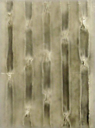 gporf693bgmujogn7scw