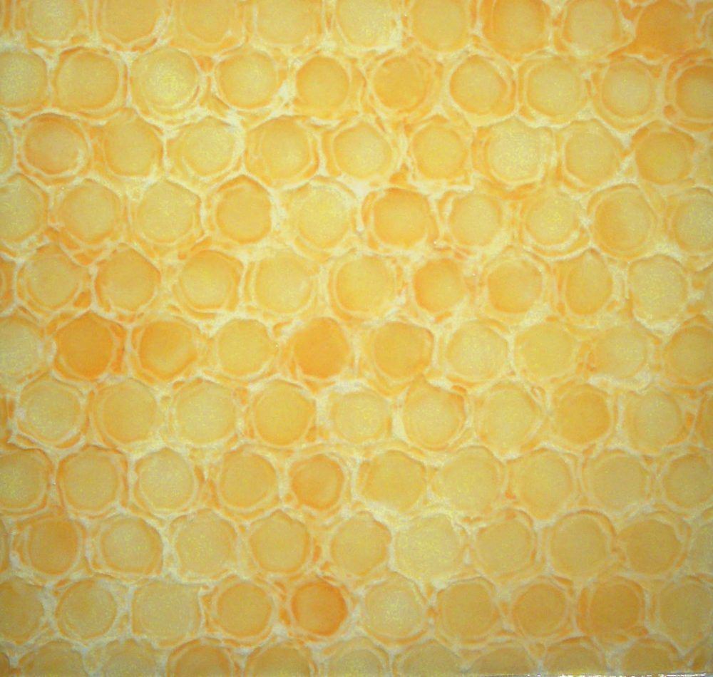 h0ekxixxspp0qipdoymw