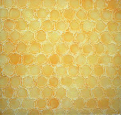 h0ekxixxspp0qipdoymw