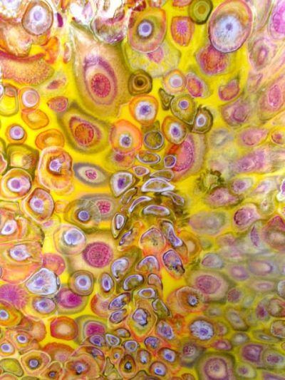 hx3xha8dk9oul4jcq4eu