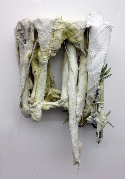 jo0joann9ybhnshsimc1