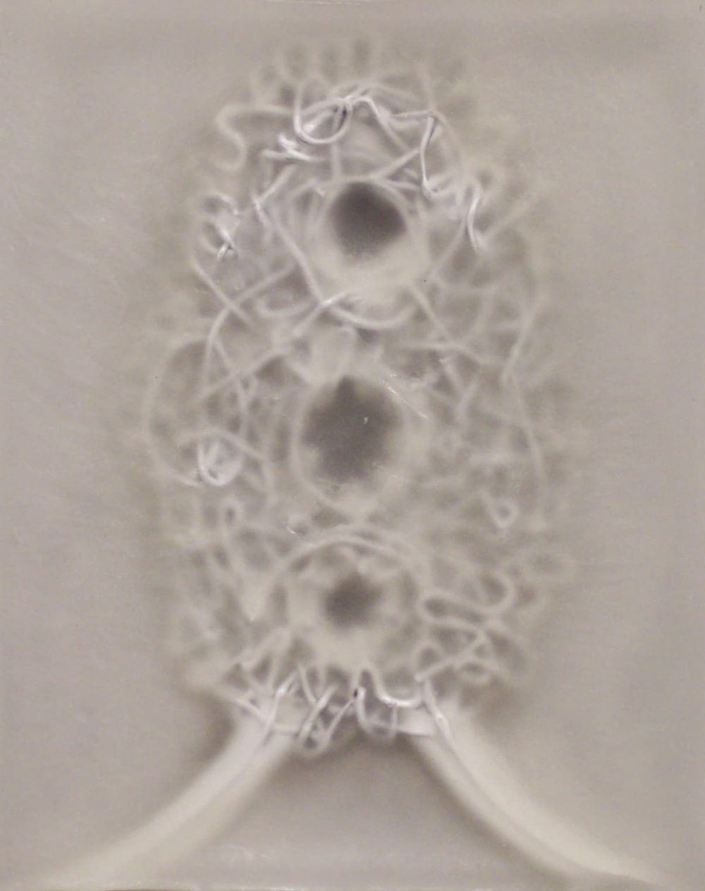 lnidzdgplmknmlvxq9iq