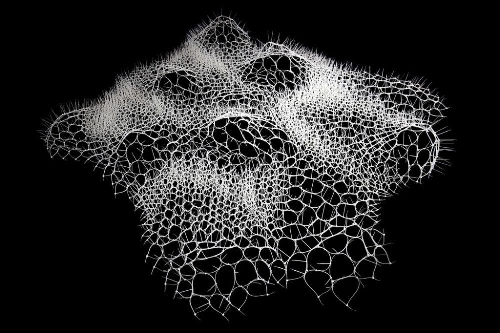 noifufu6ftrmzwqbi9fs