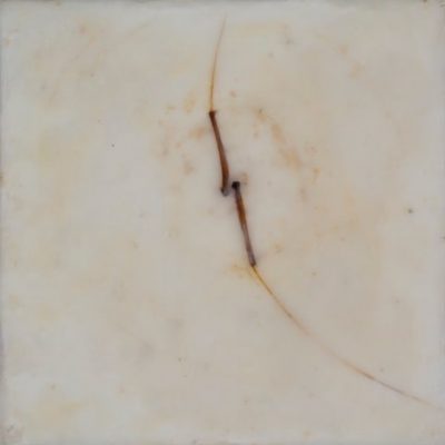 ojqfiphq18efbnlbl6mn