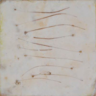 ox1rdducixa42guymzo1