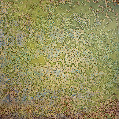 qrglp88wgtag2act9xku