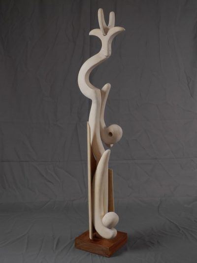 t5kahuh3diubfwciaapy