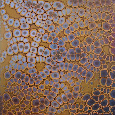 tajfu4bszrykftrrj3ig