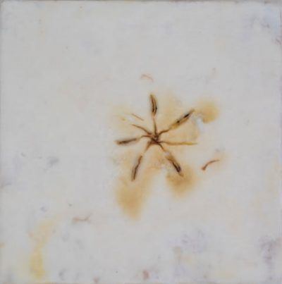 uawgrrsom431lxl5fntw