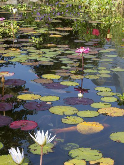 uz258f8lf1jxgc0cearv