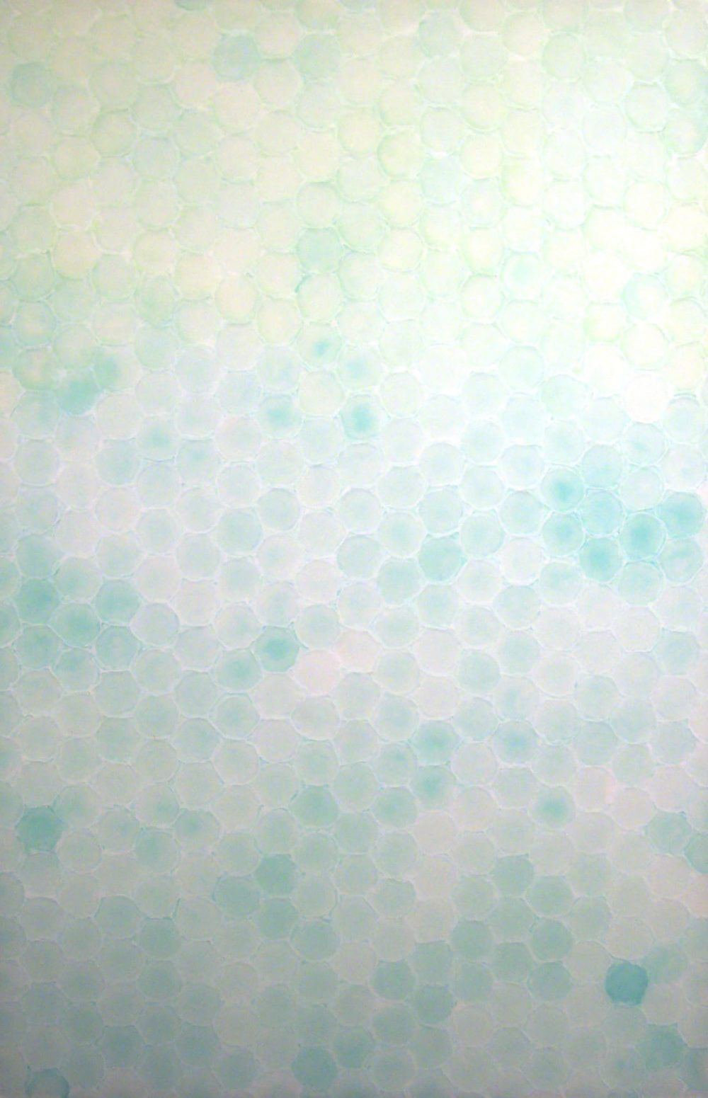 vrtd3hrdowlltx6jnw4t