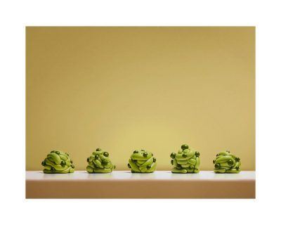 wwnsasoi7fx4b8cuziic