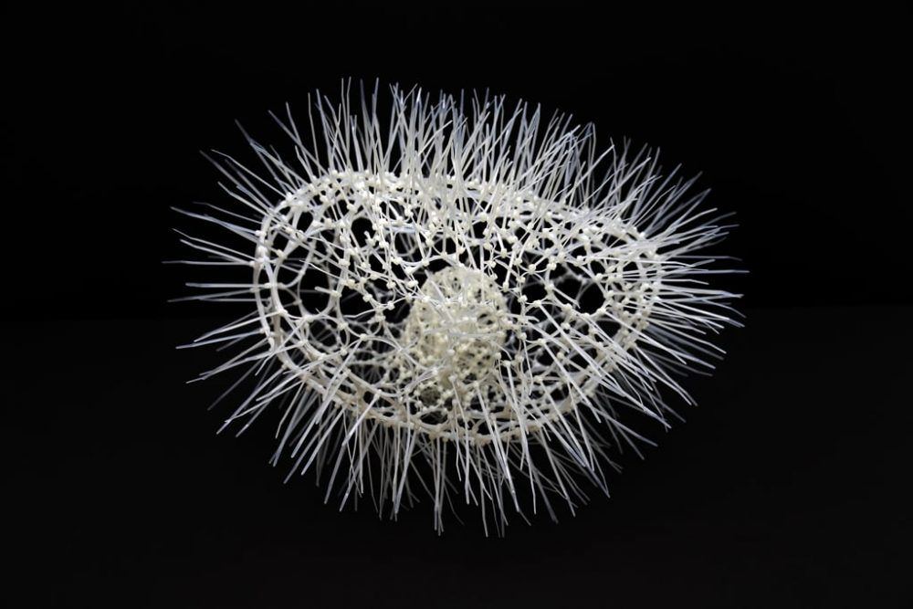 xblgtz2ozhegjdnqfcth