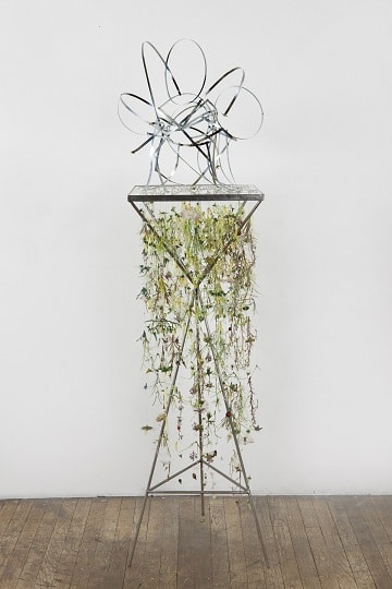 xixdjofkzt1ho154x3s9