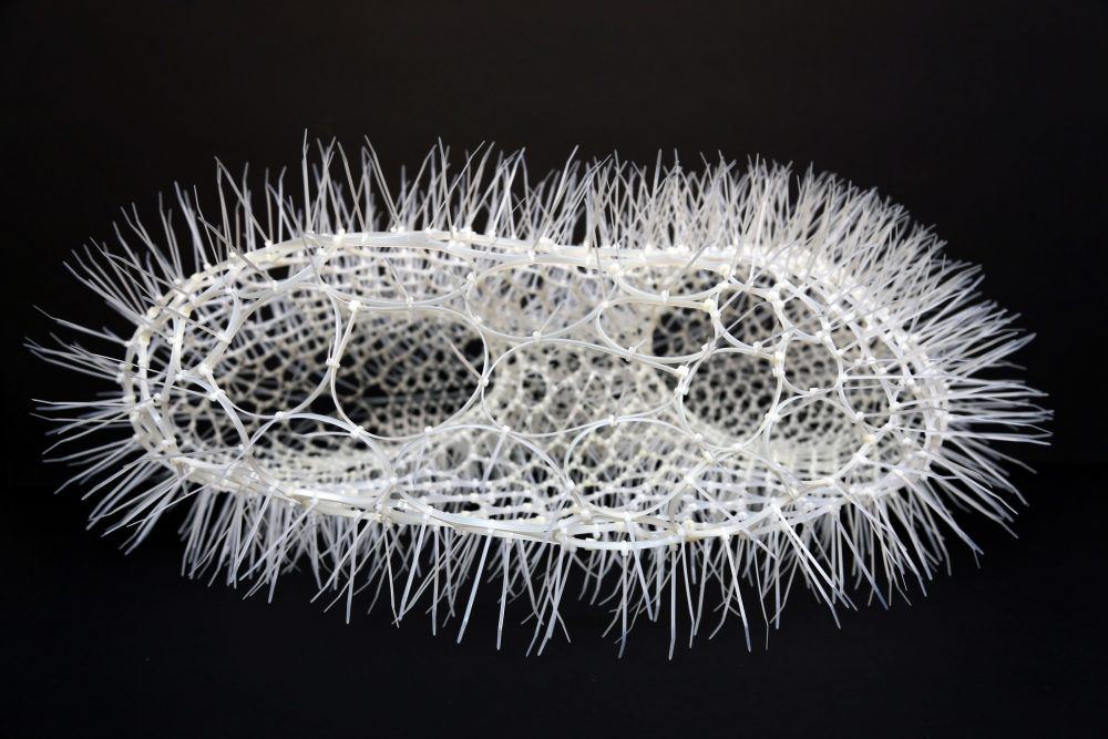 xjbrryibph0j6rjpibex