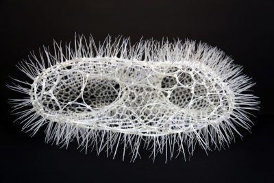 xjbrryibph0j6rjpibex