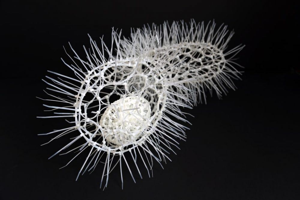 z2kxt4q6wqgj6yxdsjt7