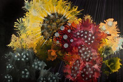 zedefokvqnq4vpyzzmnx