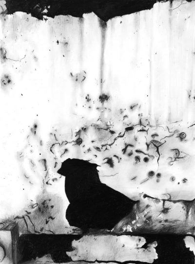 ztslvqyt4tlk6z8u11sz