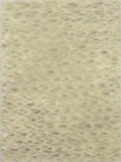 zy1fwxwlfstak1d82ker