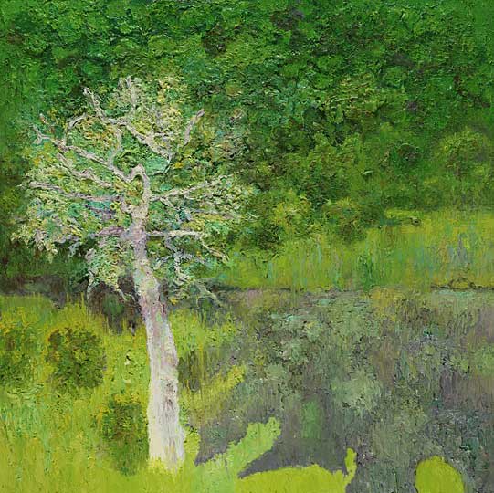 Speyer_Young Tree on the Bank of Patience Brook