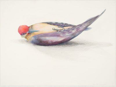 b2hgjopt70rsab5rlfz3