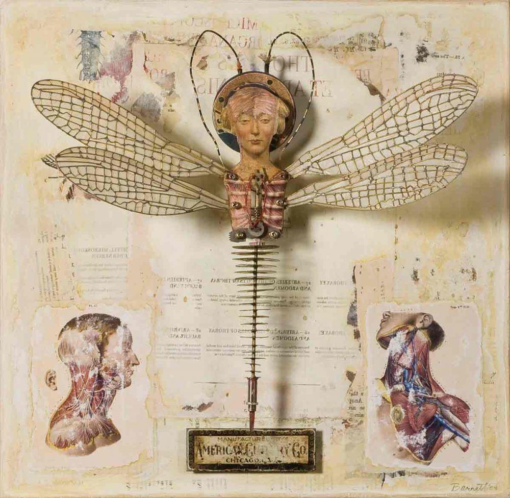 clgfxycsnl8kgfktnnsc