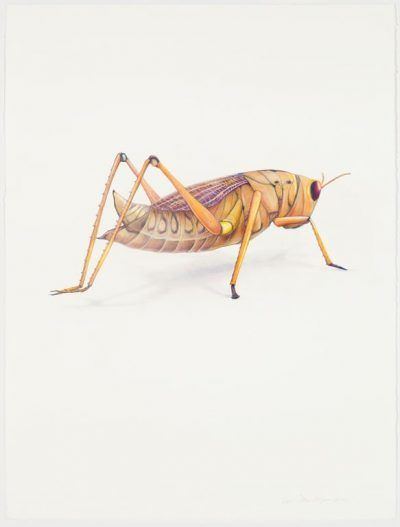 dtfv3h75am9xwf0qvbnz