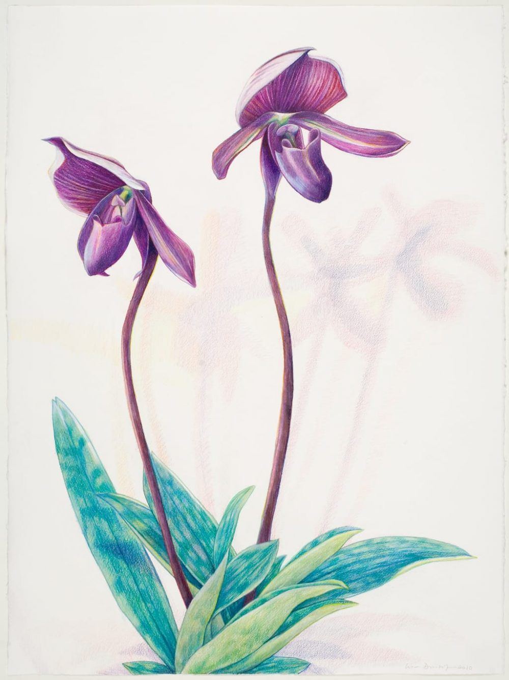 e1f5d93hhbyasapemt5g