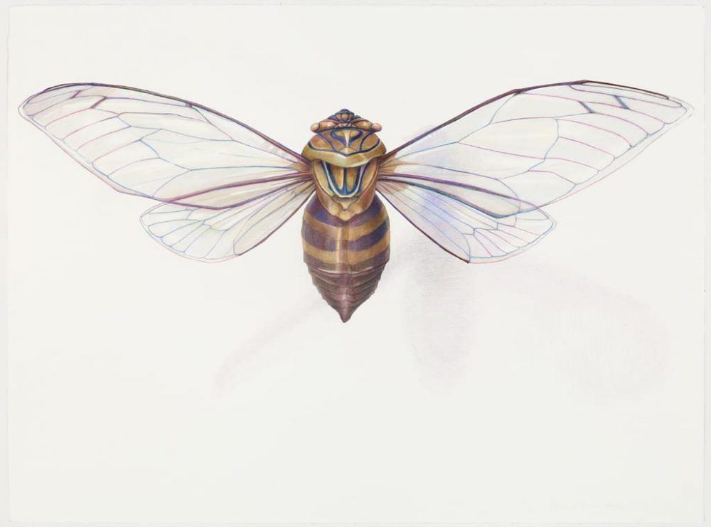 emd92s3sw1gotrmccd5j