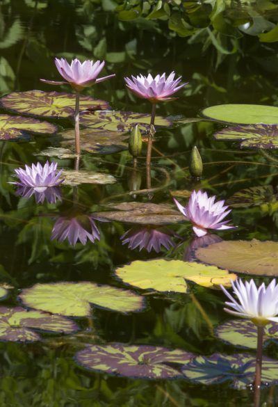 evkwslk5g059uvfwbhcn