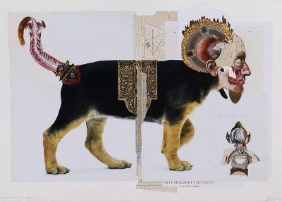 ffkvadxvt545gciliau1