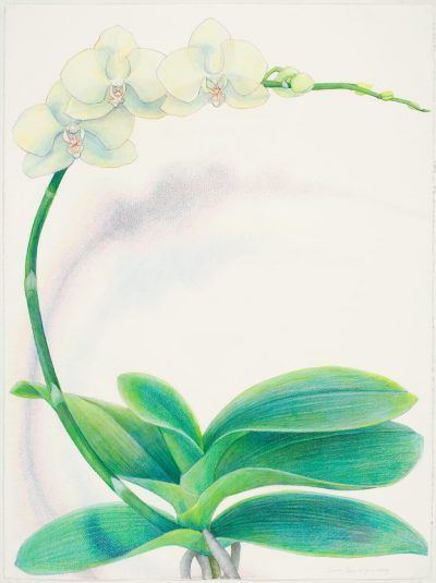 fsaxkkiyisd1q1nx5enq