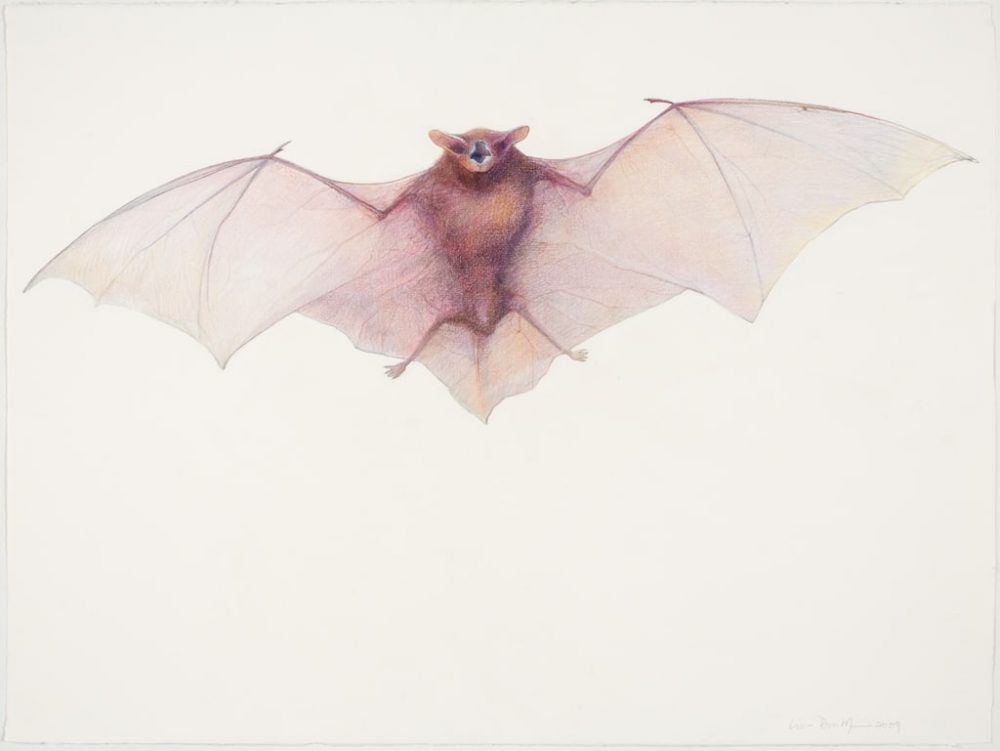 gf1mgzlxqrhbmtpi7foq