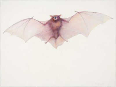 gf1mgzlxqrhbmtpi7foq