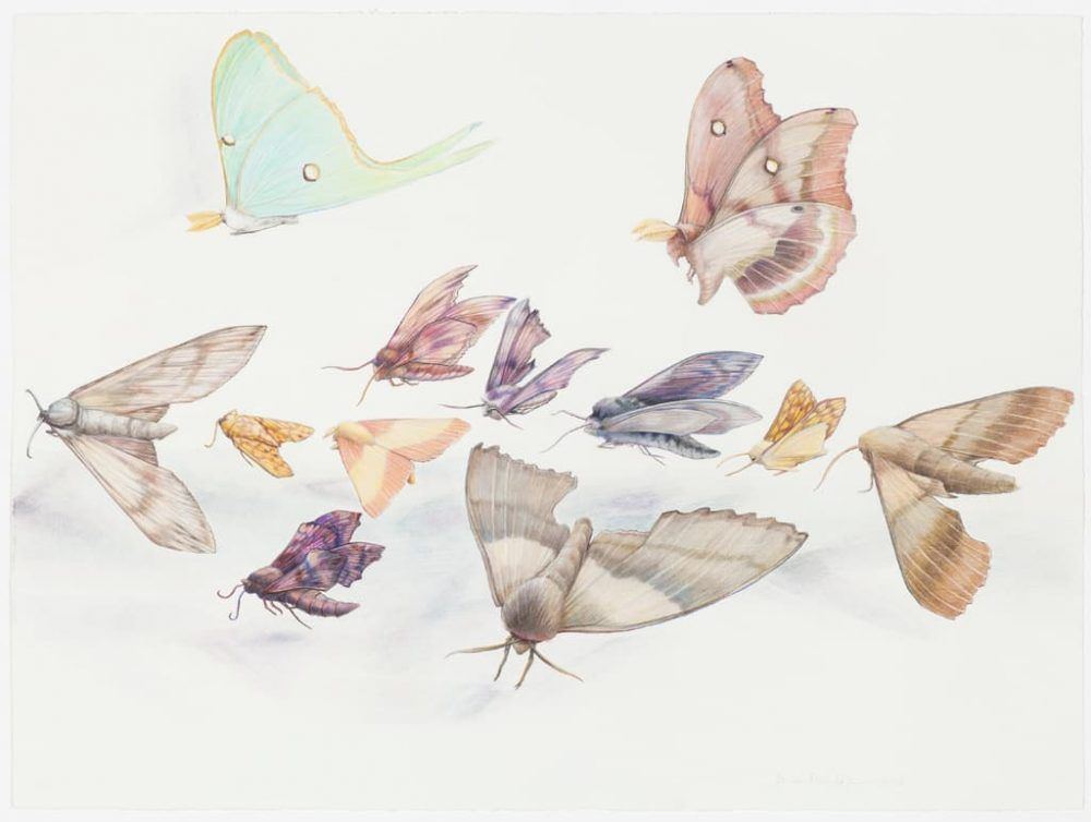 grkid8b1nhkf70zktjkz