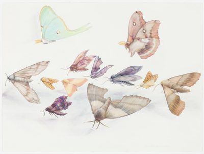 grkid8b1nhkf70zktjkz