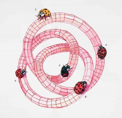 hgywkzuksobpsynwcv5o