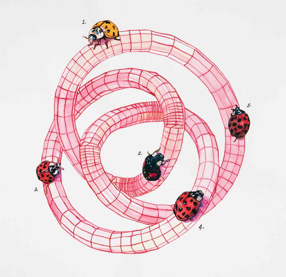 hgywkzuksobpsynwcv5o